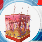 الدكتور احمد محمد راضي